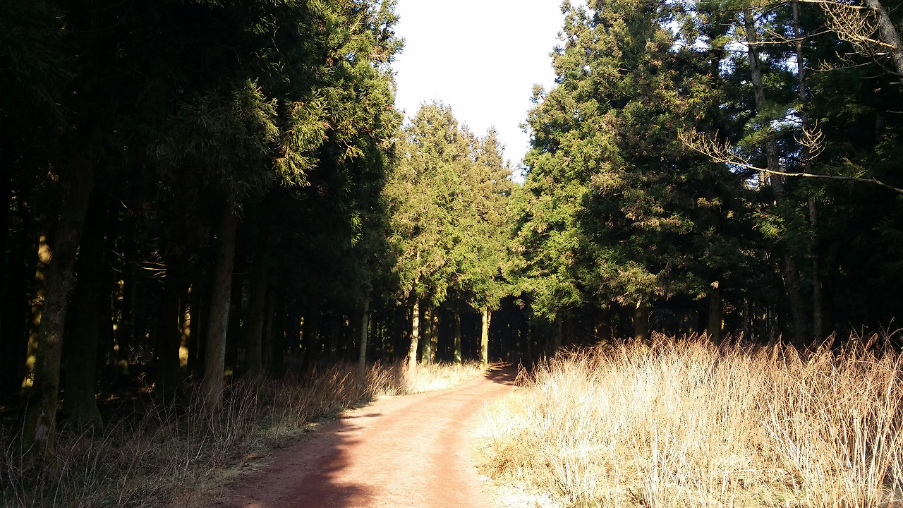 20150110_150705_봉개동 - 복사본.jpg