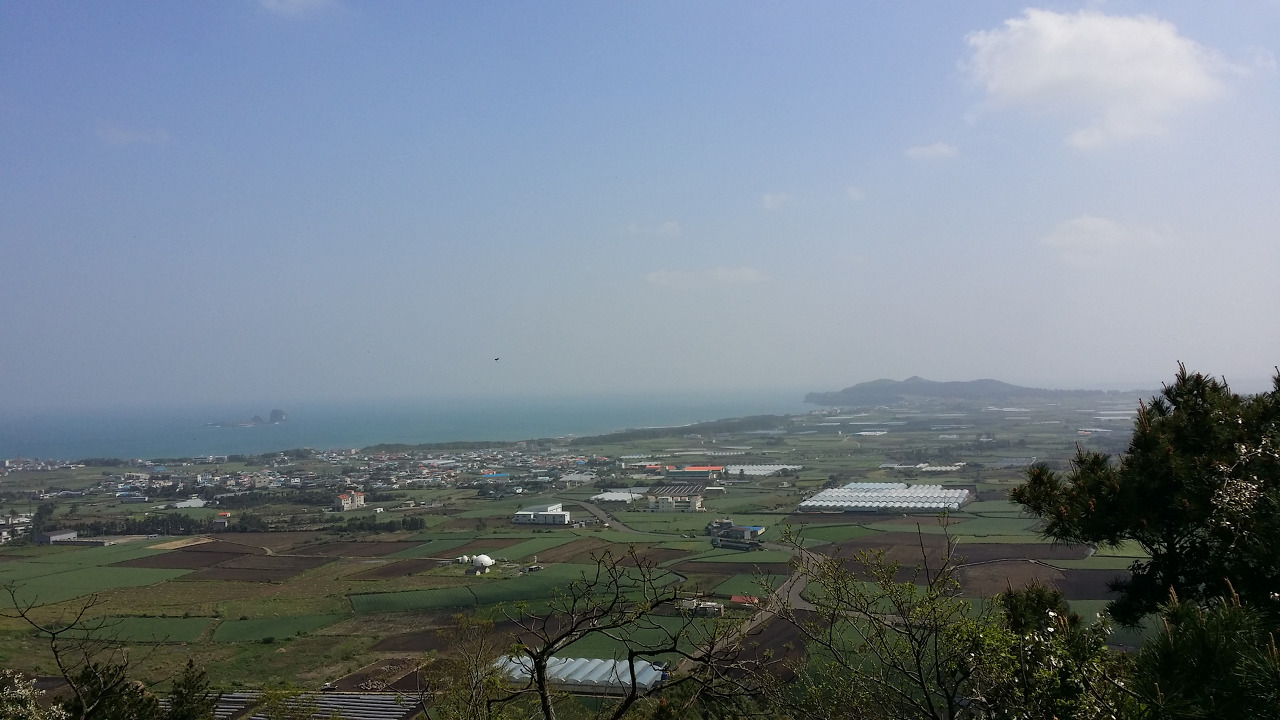 20160417_단산3.jpg