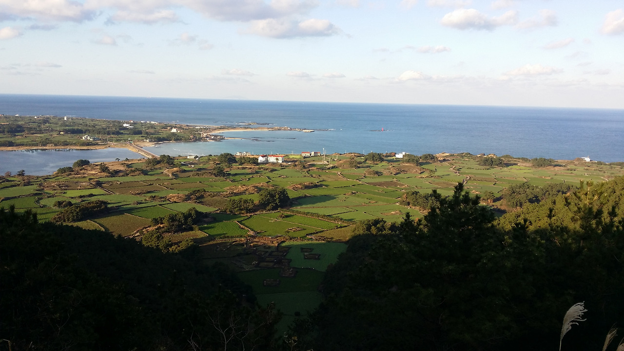 20141214_161509_구좌읍.jpg