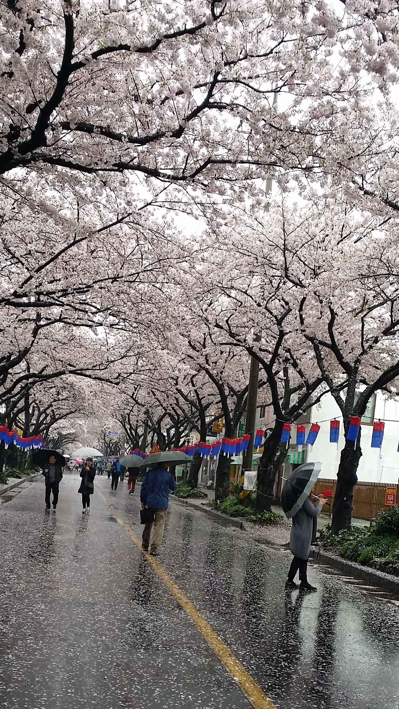 20160403_132819 (2).jpg