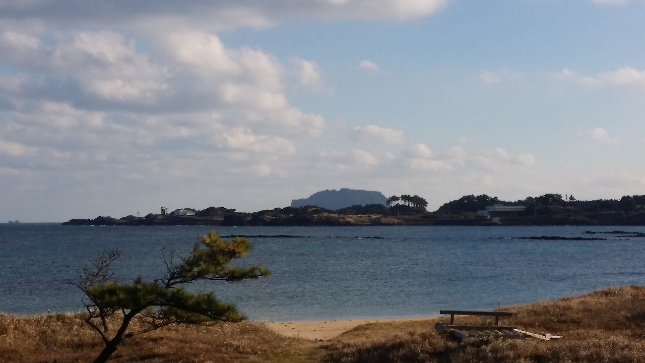 20141214_152043_구좌읍.jpg