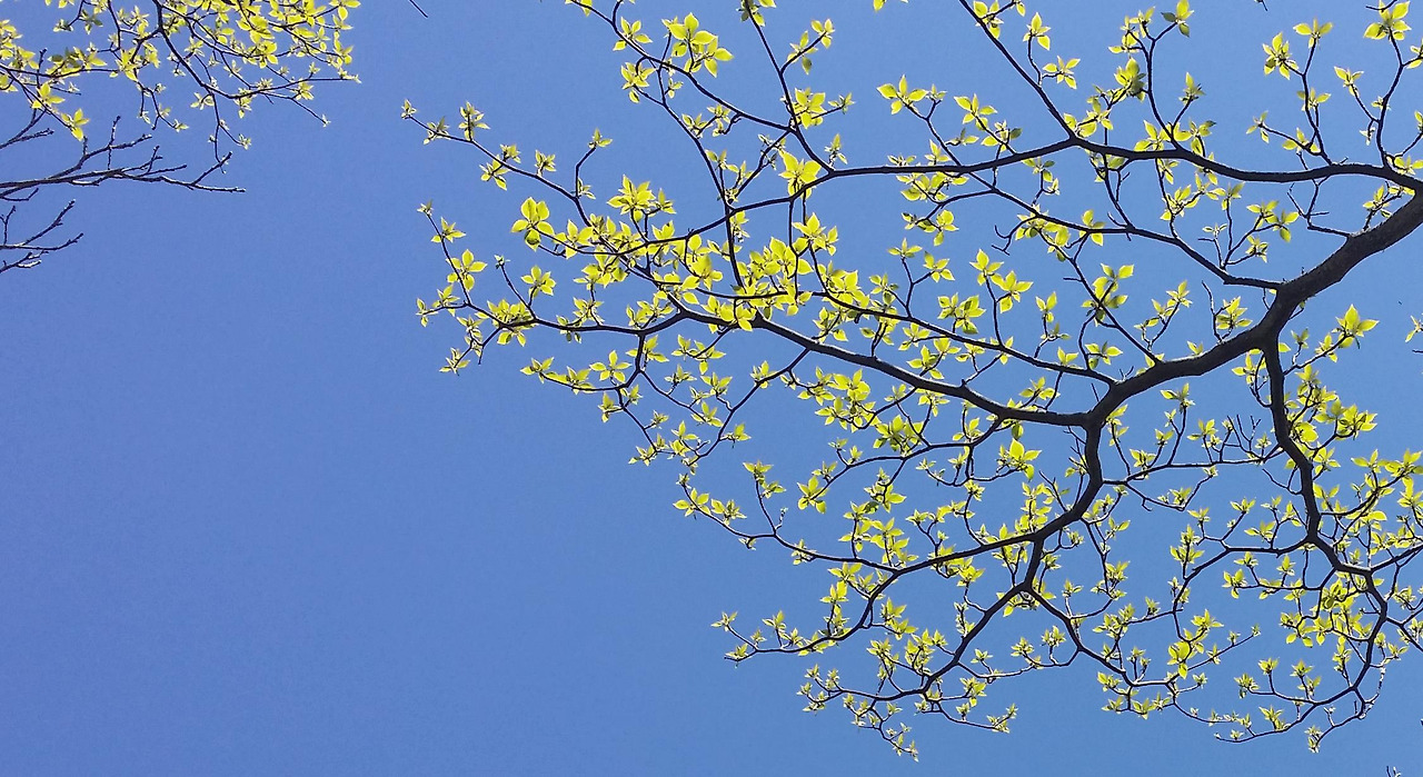 20150425_111416 (1).jpg