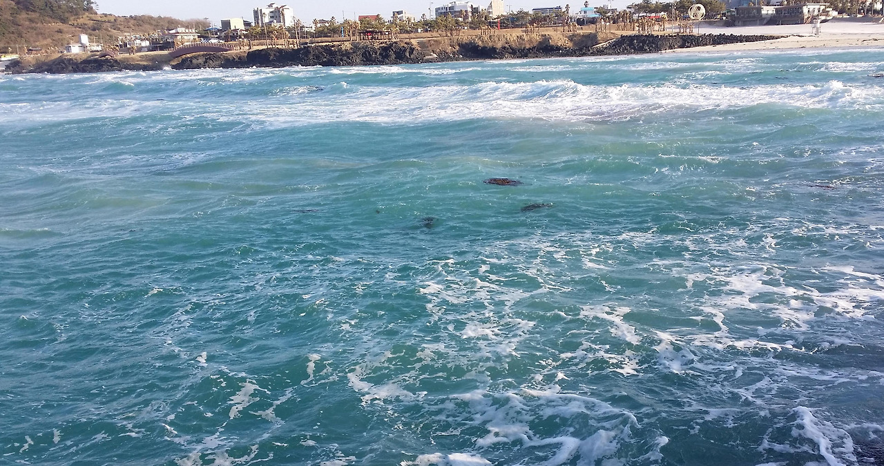 20150117_162734_조천읍 (1).jpg