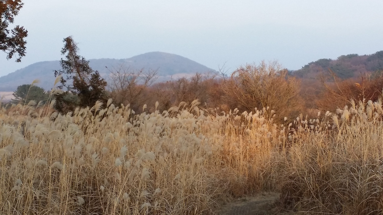 20150110_165445_용강동.jpg