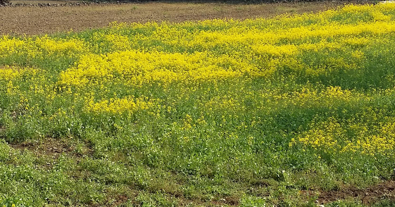 20150411_095933 (1).jpg