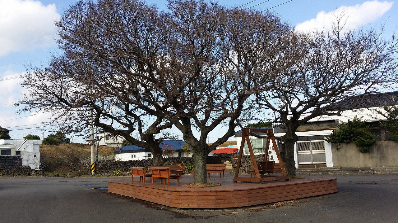 20141214_135344_구좌읍.jpg