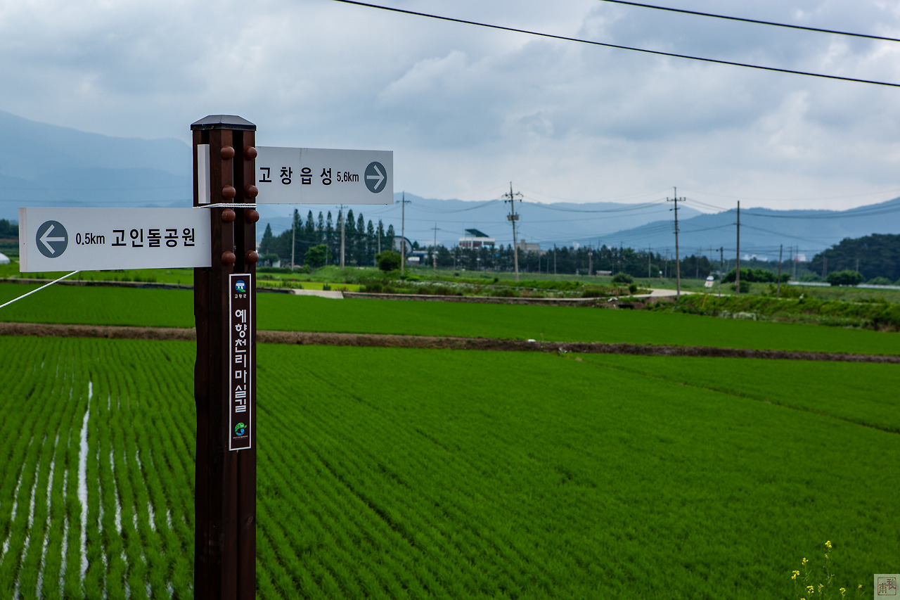 KJR_20200625_Gochang-IMG_1233.jpg