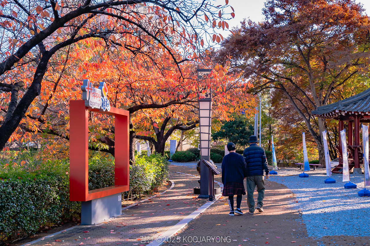 KJR_20251115_Gimcheon-_DSC7563.jpg