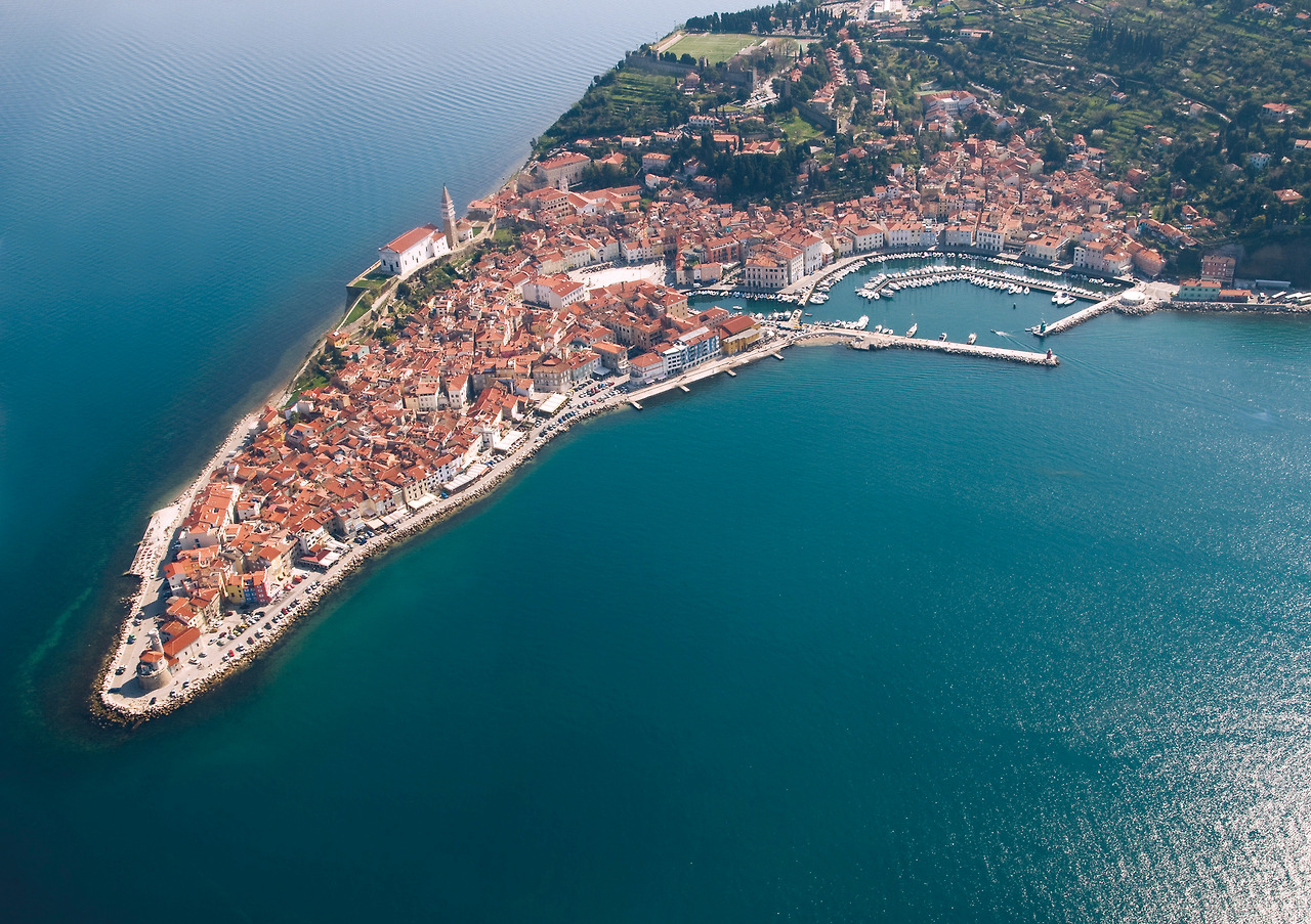 디어 슬로베니아-본문0520-72.jpg