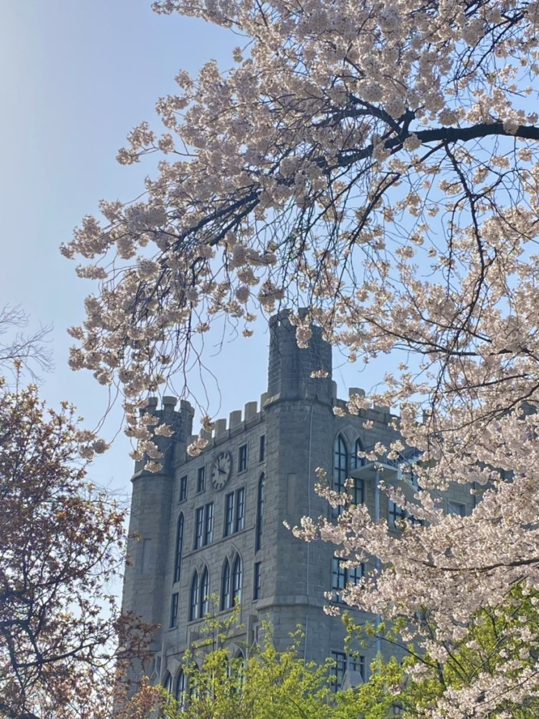 경희대 서울 캠퍼스 네이버 블로거 @아트솔(sol__art) (1).jpg