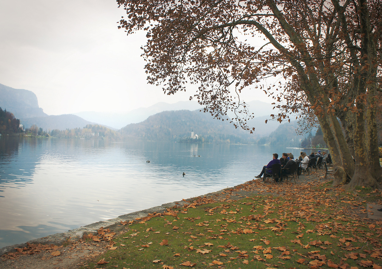 디어 슬로베니아-본문0520-76.jpg