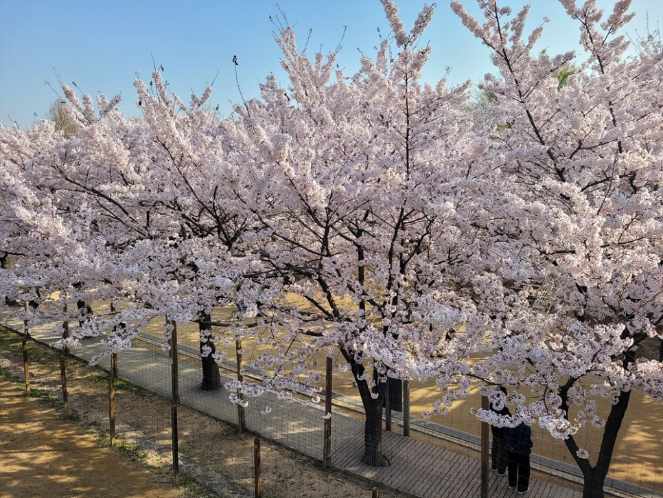 서울숲 나마리에(kafka40) (8).jpg