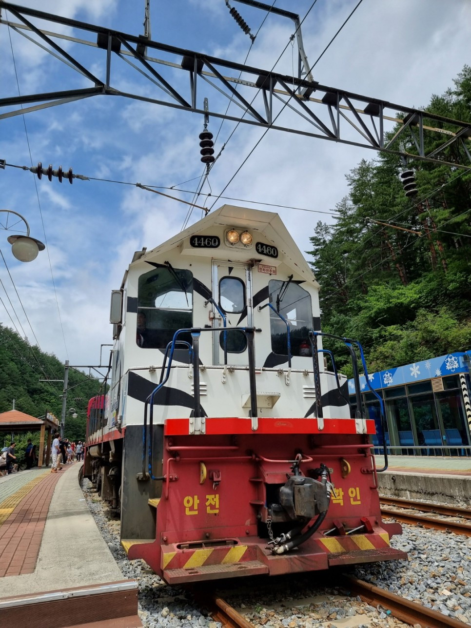 백두대간협곡열차 @악동이(khd4312) (15).jpg