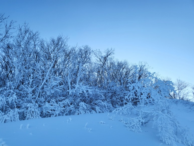 하이원리조트 @블로거 루나(7).jpg