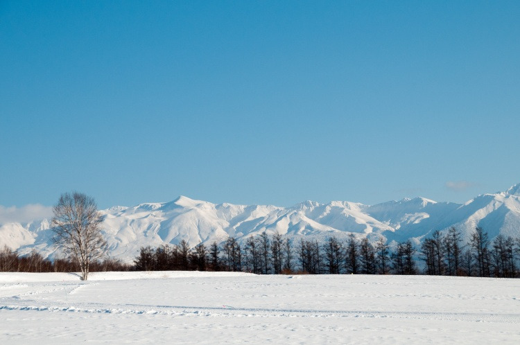 홋카이도 (2).jpg