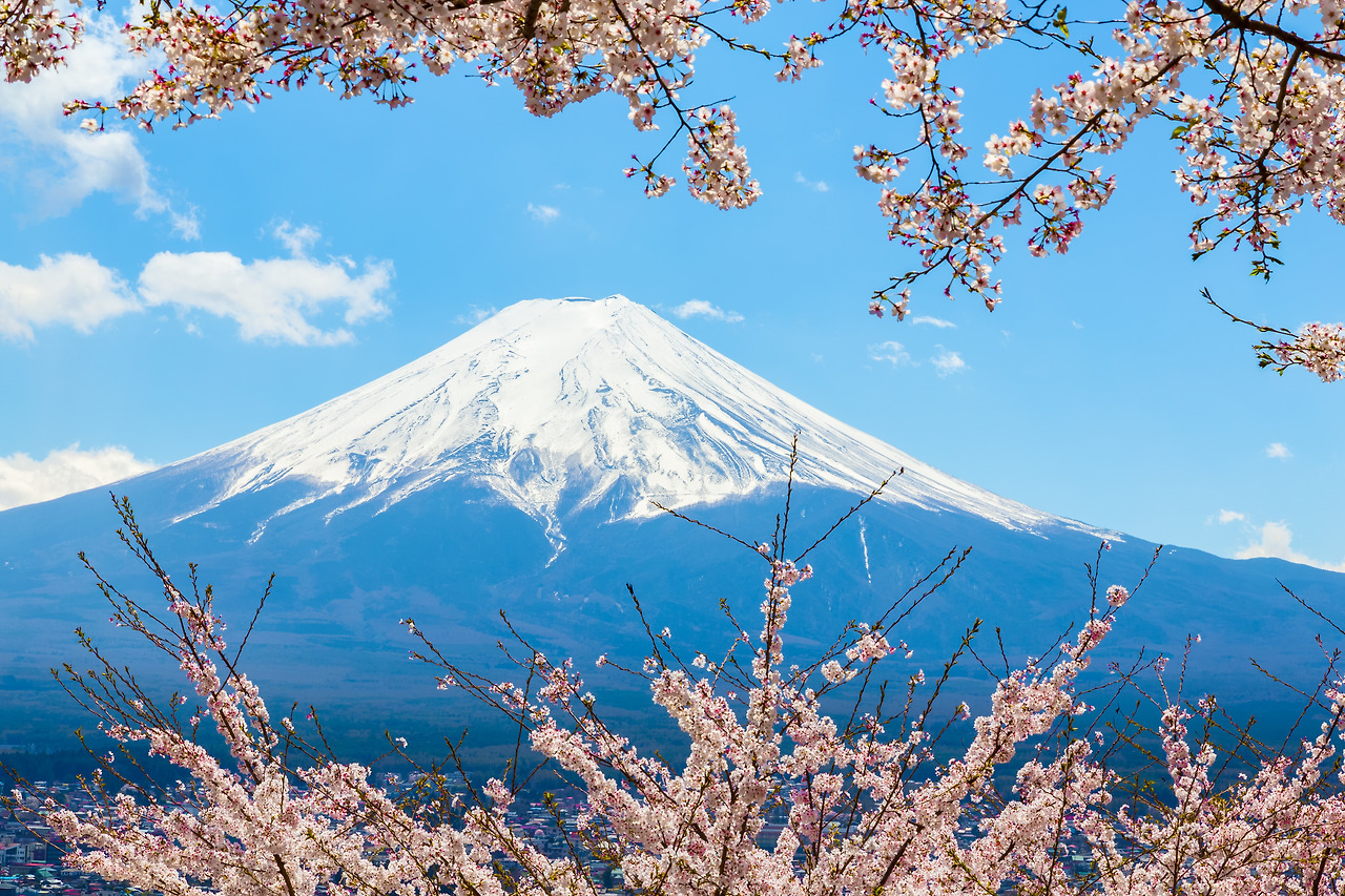 Mount Fuji.jpg