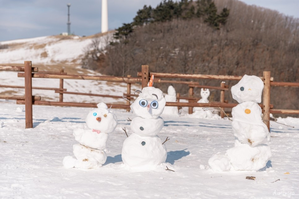 삼양목장 네이버 블로그 @도비민서(4).jpg