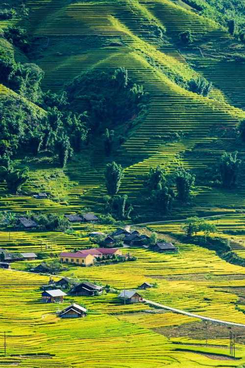 사파 트레킹_1.jpg