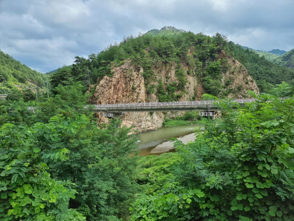 백두대간협곡열차 @악동이(khd4312) (2).jpg