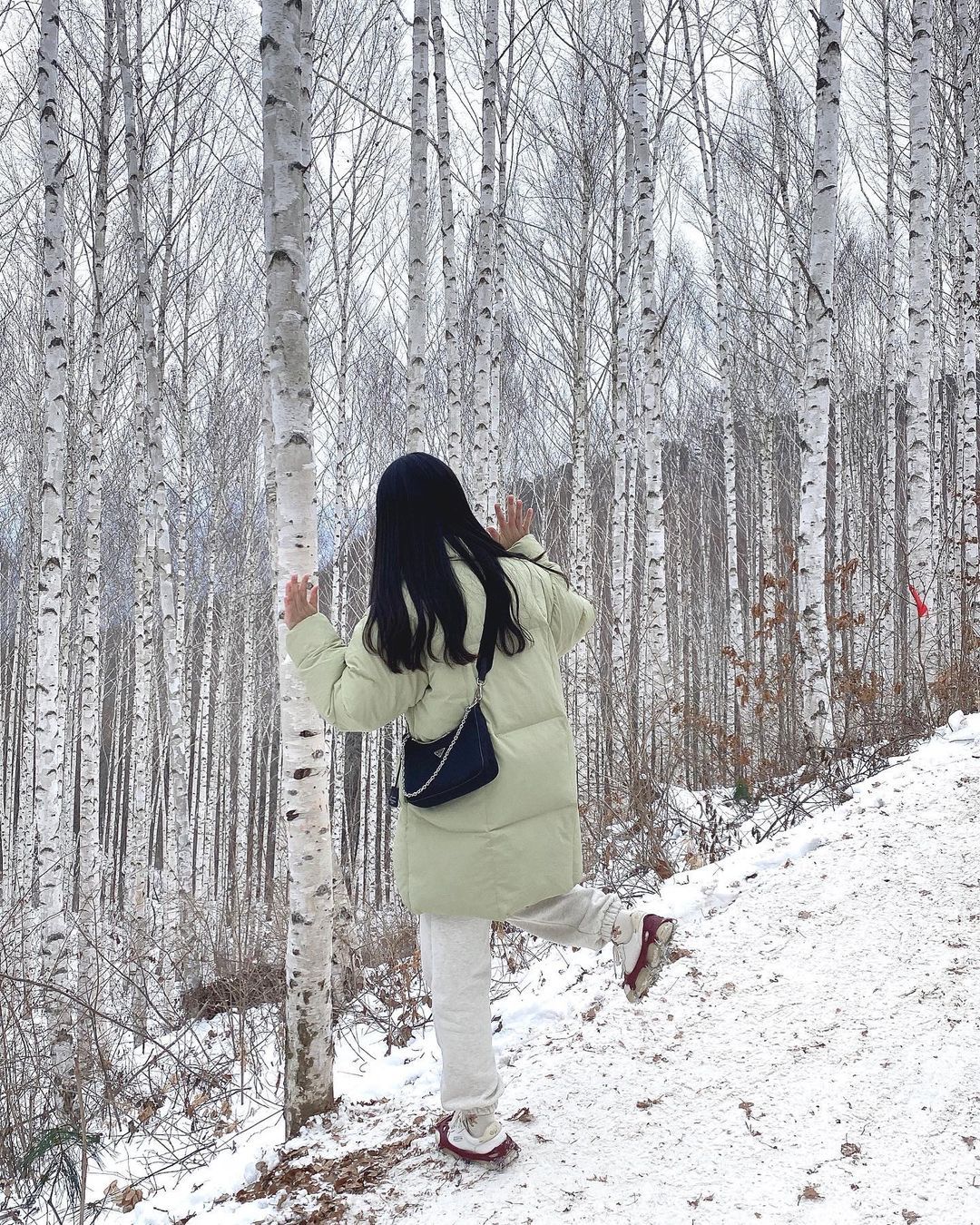 자작나무숲 인스타그램 @hyoromii(2).jpg