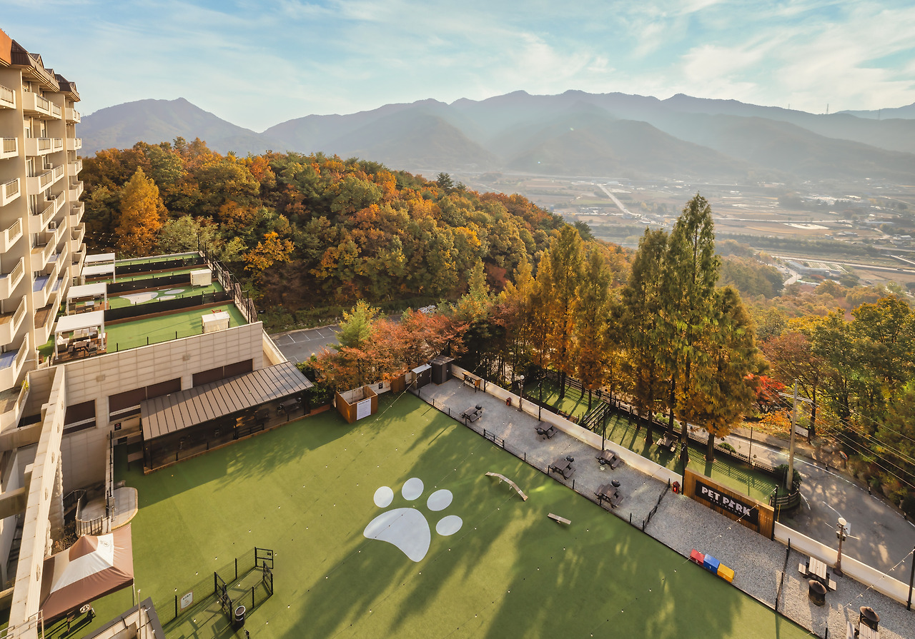 켄싱턴 호텔 2.jpg