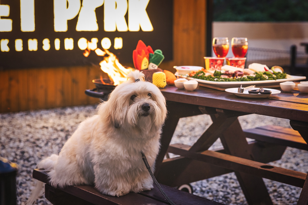 켄싱턴 호텔 7_펫 바비큐.jpg