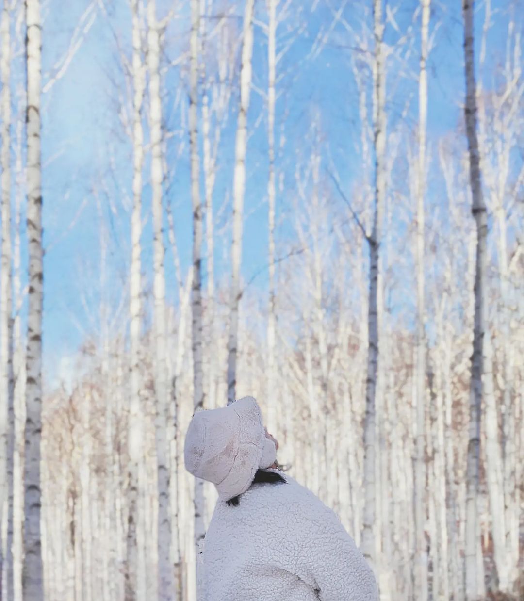 자작나무 인스타그램 @hyeppiiiii.jpg