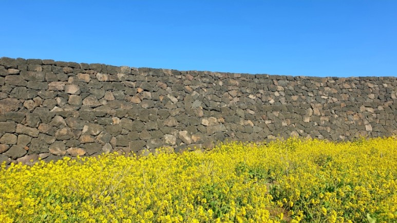 별방진 네이버 블로그 @moon13324 (1).jpg