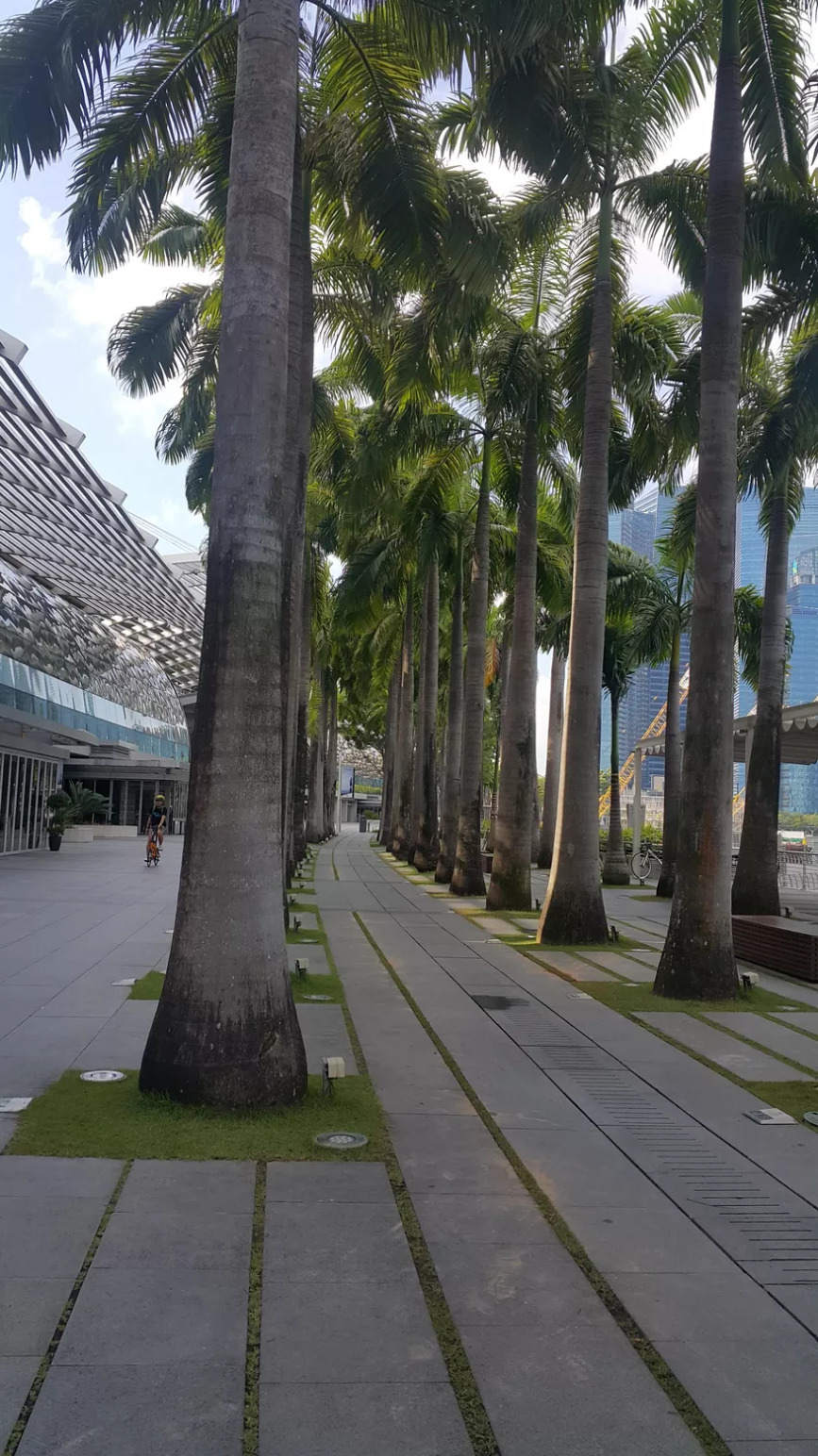 Screenshot_2020-02-19 45박46일 6개국 자유여행 2박3일 싱가포르 세상의 모든 여행, 위시빈(2).jpg