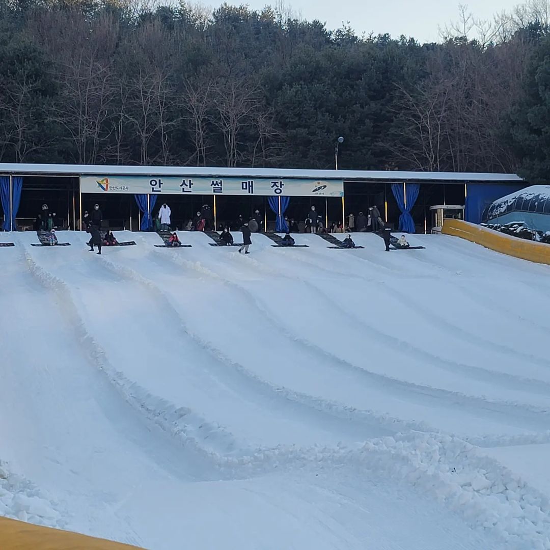 0120_안산썰매장_@yooju3588 (2).jpg