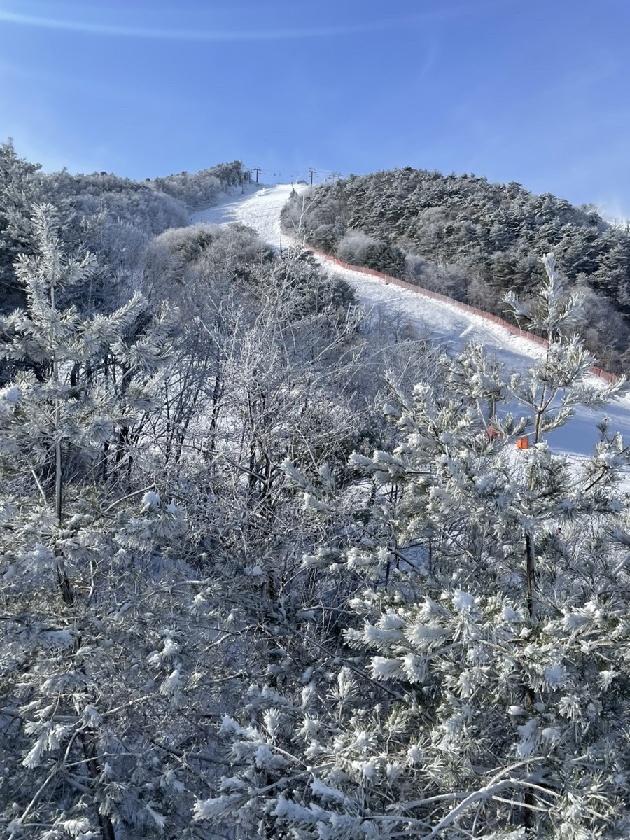 웰리힐리파크스노우파크 @블로거 뽀로롱89(8).jpg