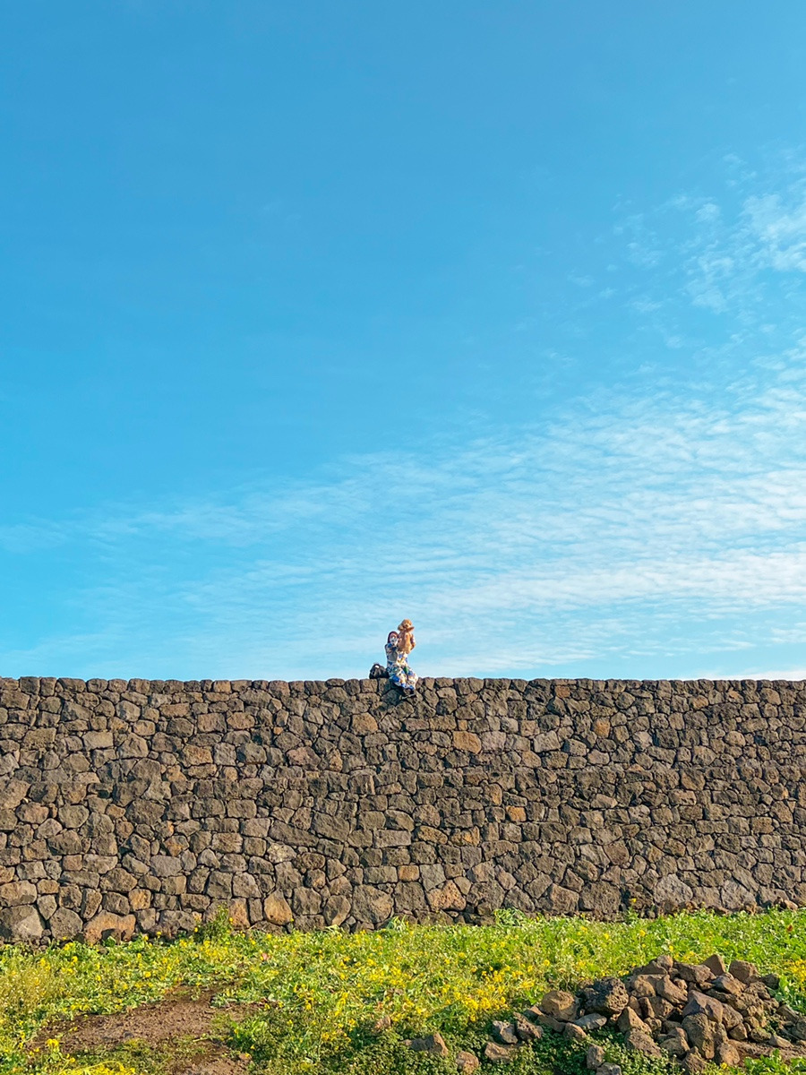 별방진 인스타그램 @toy.yulmoo(토이 쩜 율무) (1).jpg