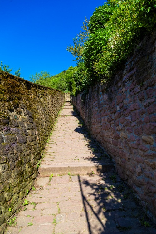 철학자의 길_3.jpg