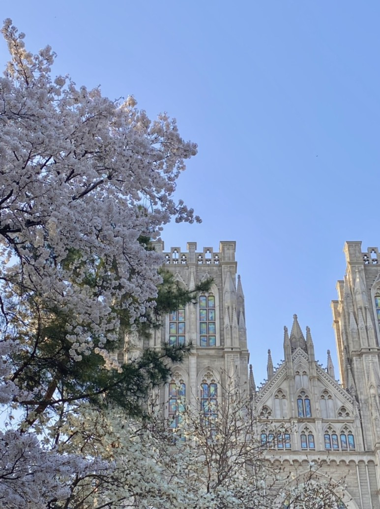 경희대 서울 캠퍼스 네이버 블로거 @아트솔(sol__art) (3).jpg