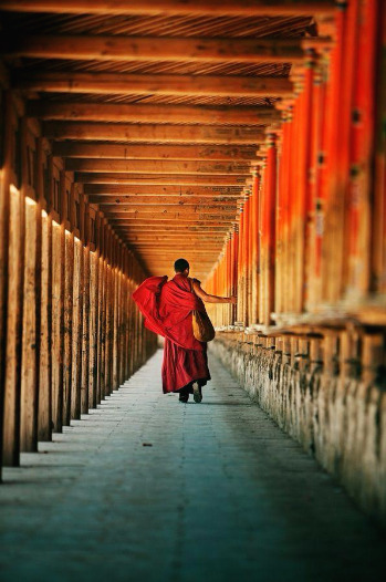 175a88bb2348c561b3d8c731faba4244--nepal-tibet-buddhist-monk.jpg