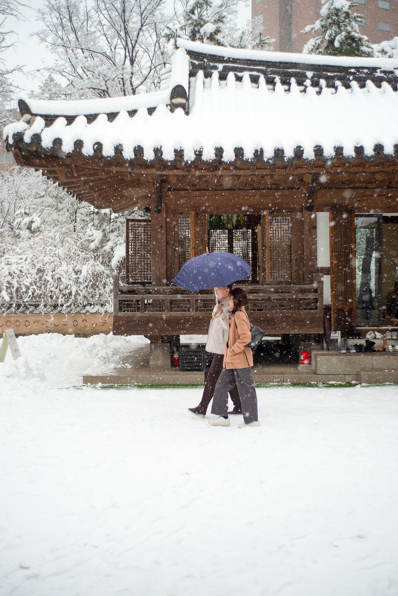 L1000095-편집 복사.jpg