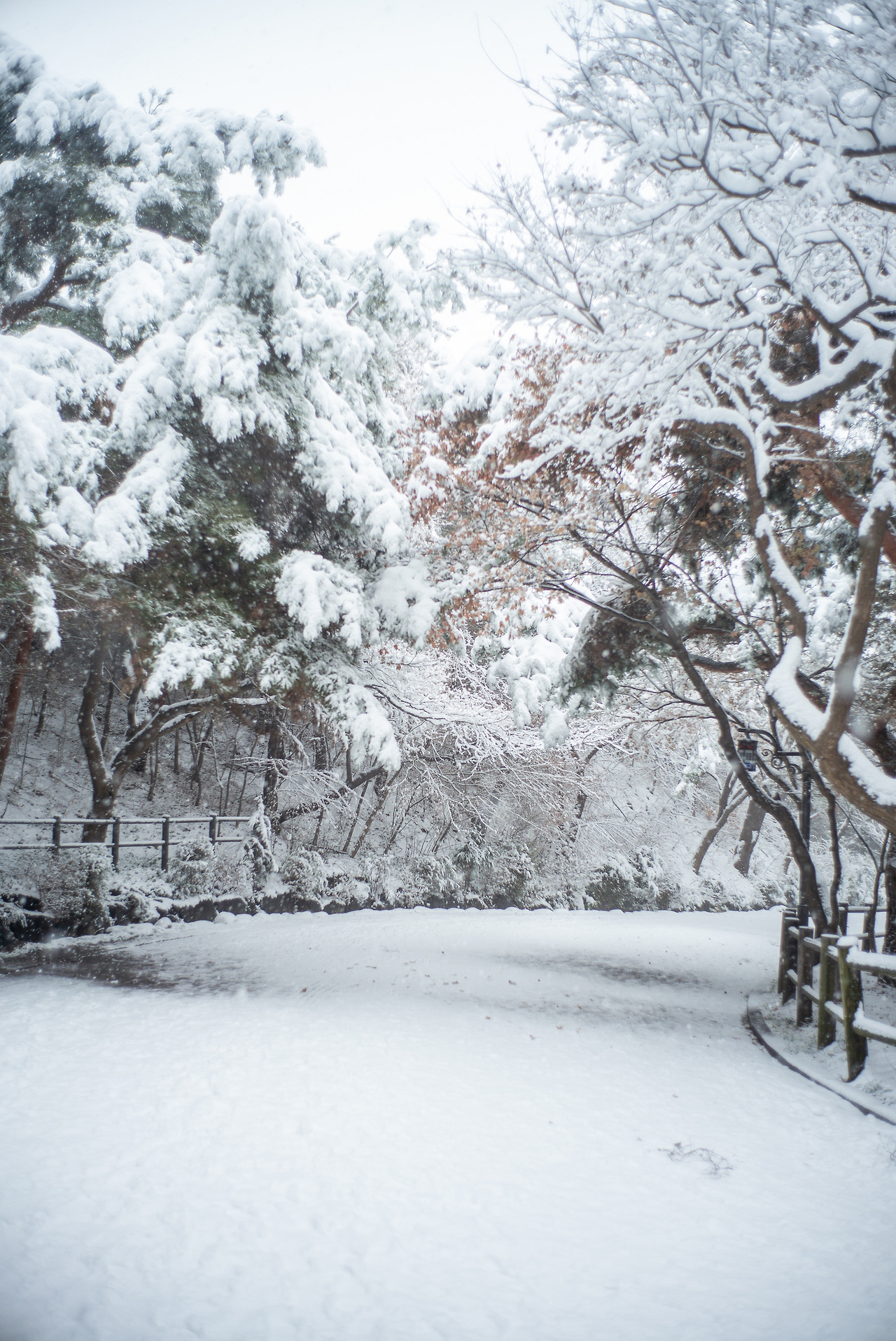 L1000102-편집 복사.jpg