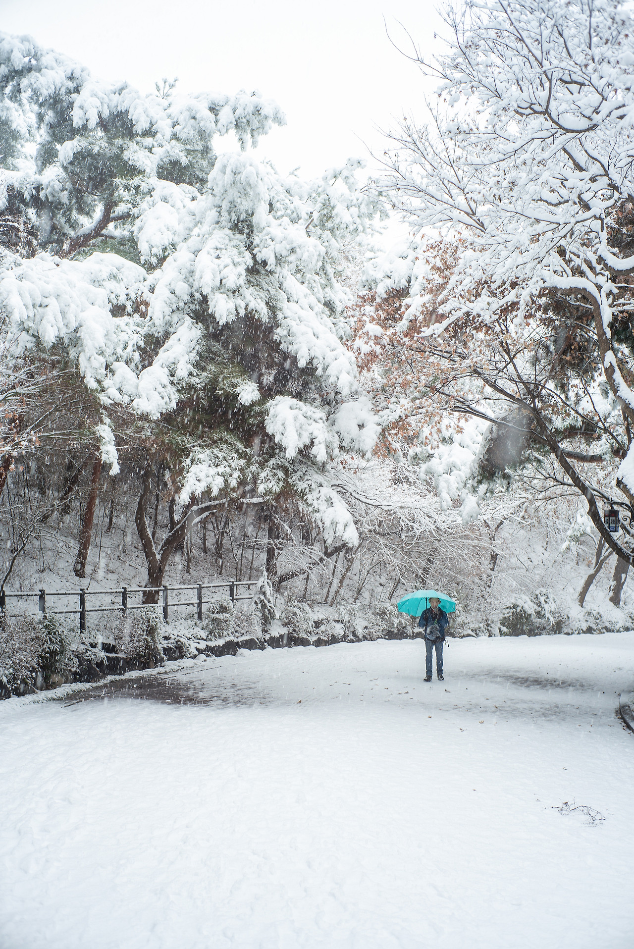 L1000105-편집 복사.jpg