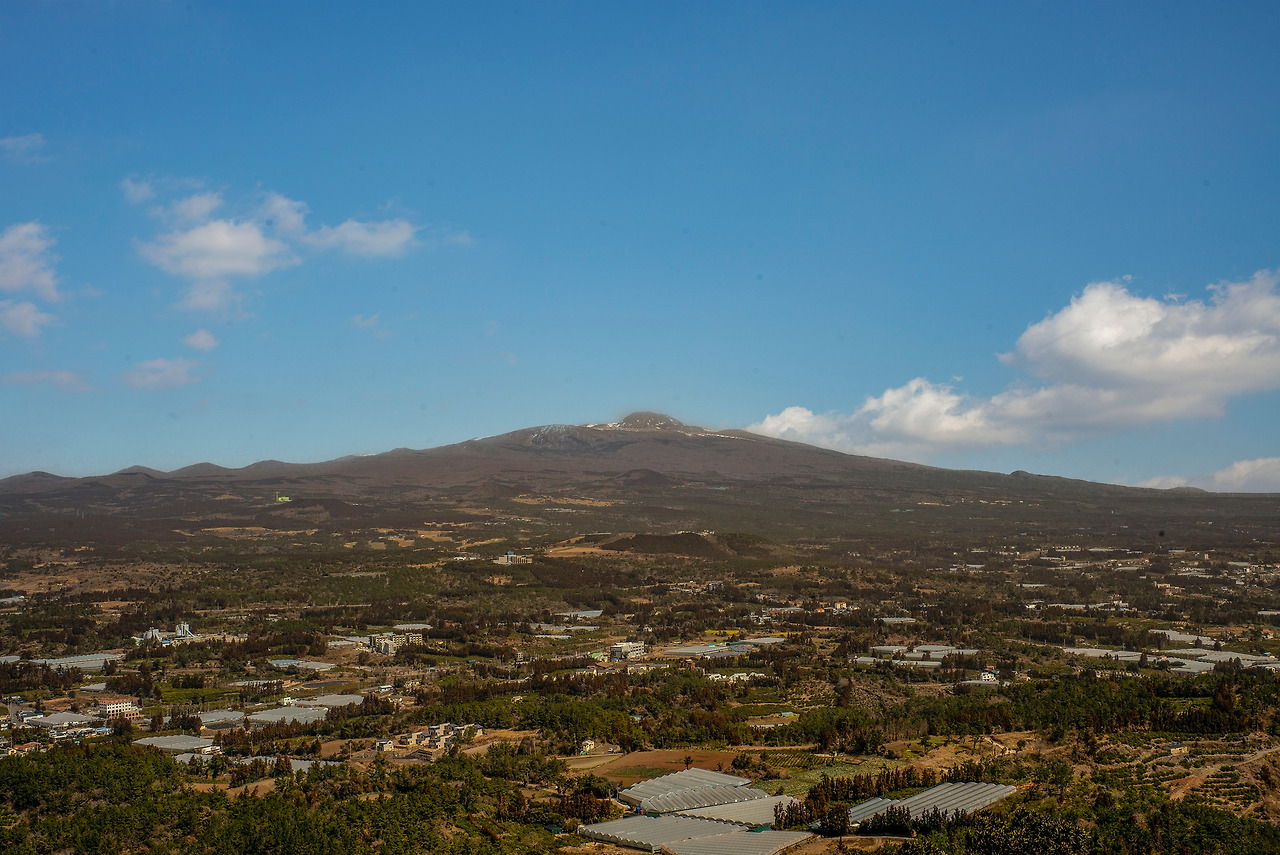 L1001556-편집 복사.jpg