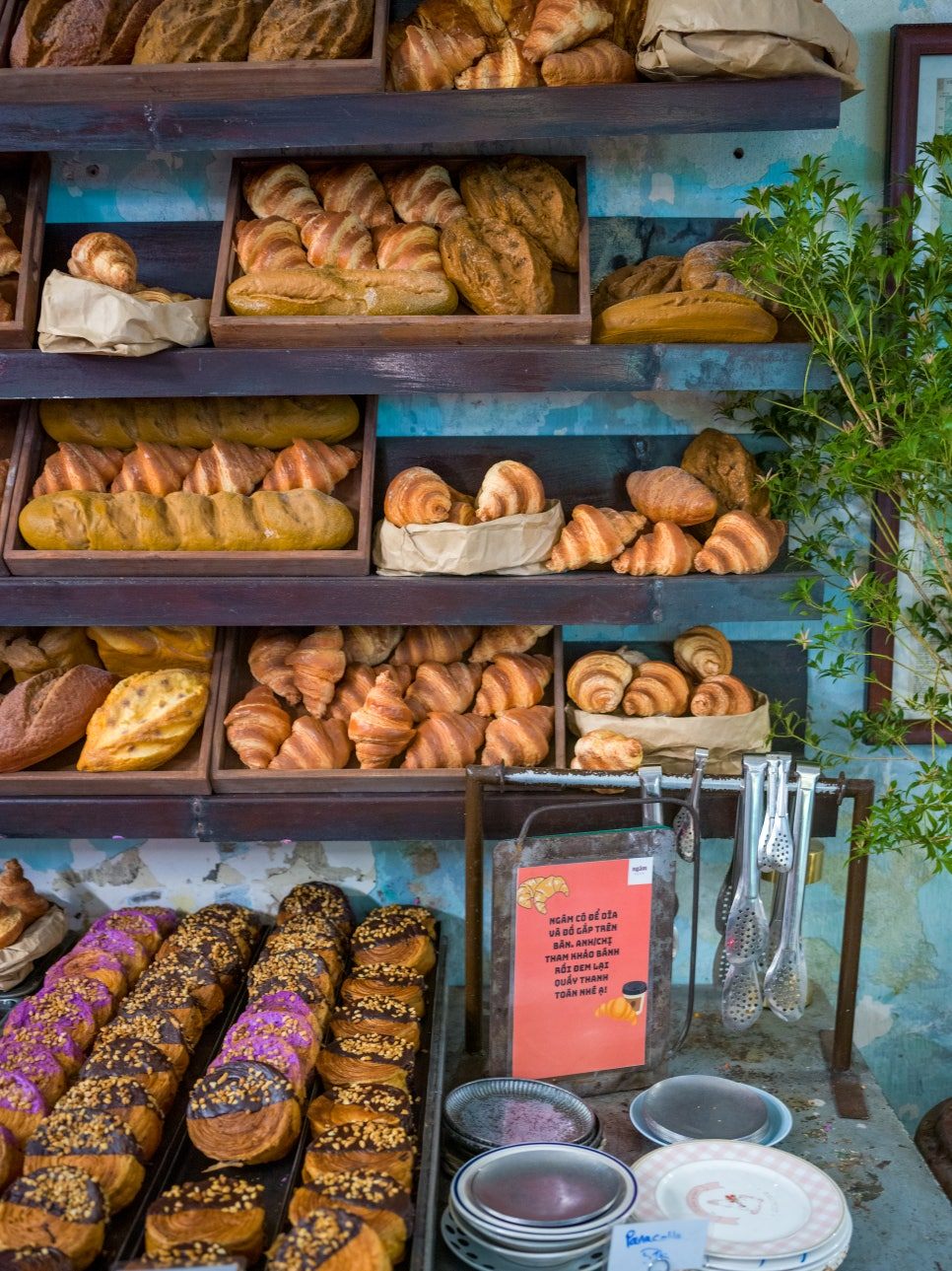 B0006478-편집 (2).jpg