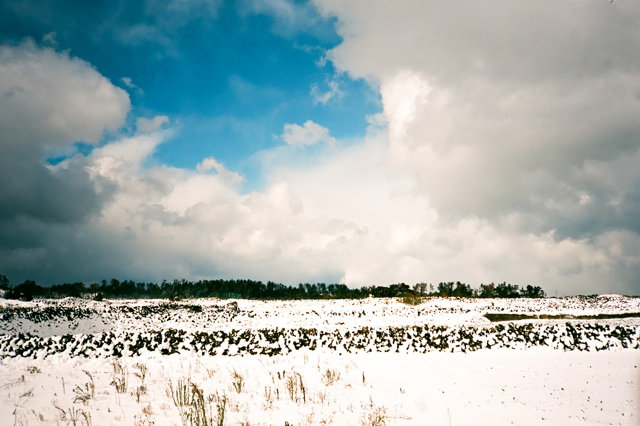 000380310001 copy.jpg