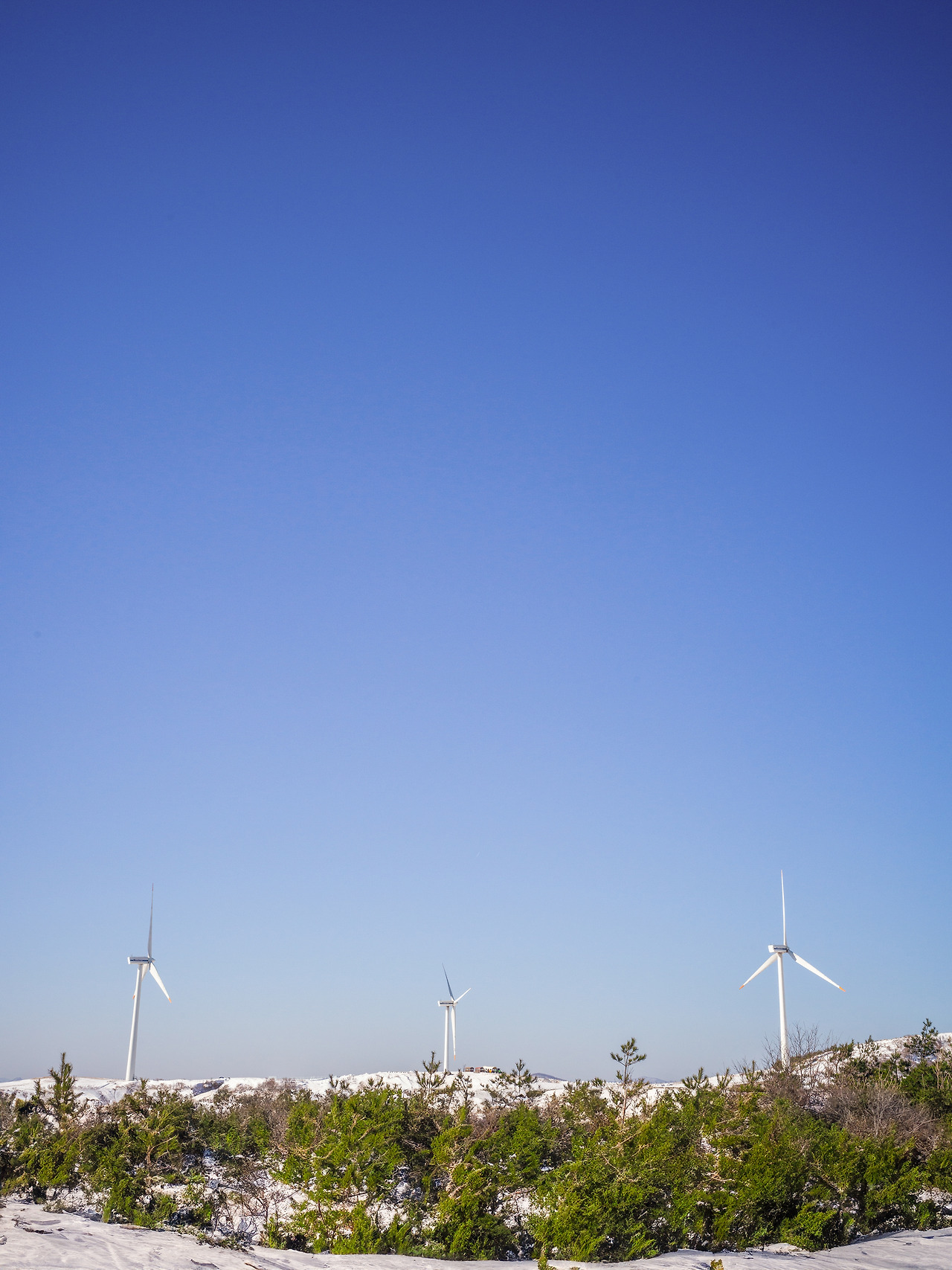 B0000713-편집 복사.jpg