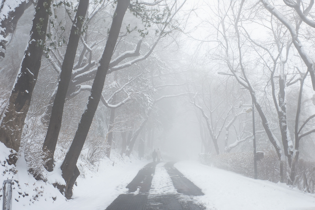 L1000109-편집 복사.jpg