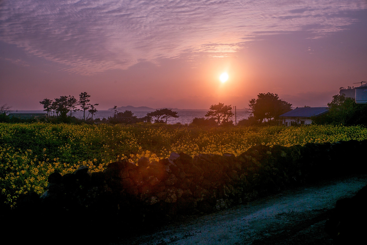 L1001305-편집 복사.jpg