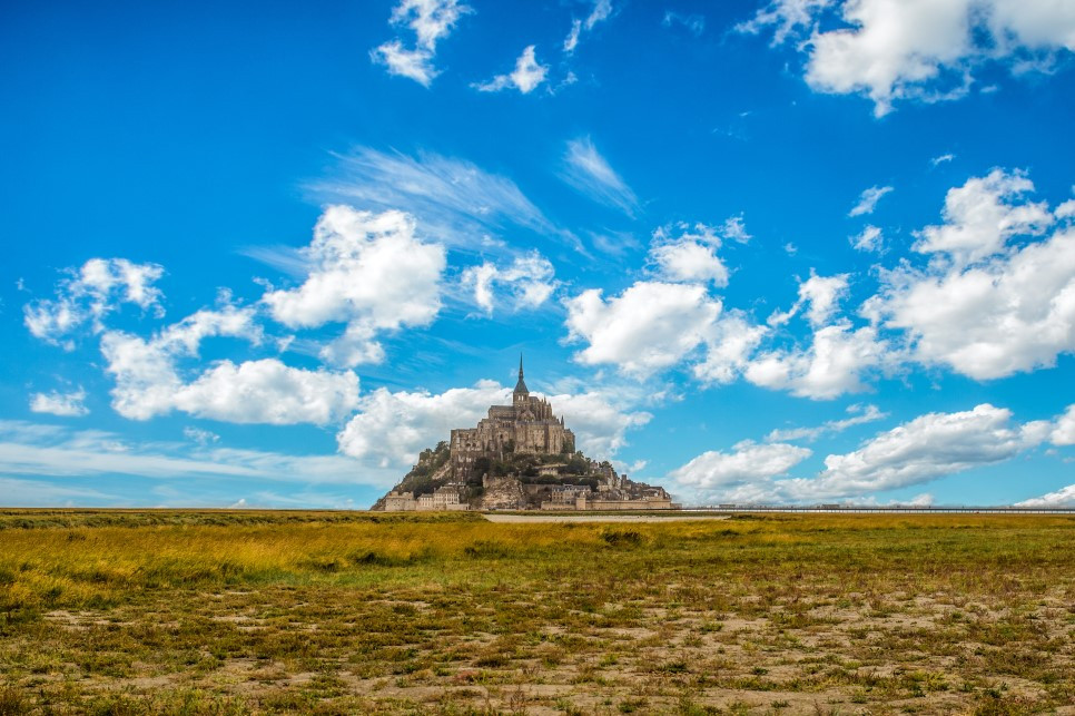 DSC_0710_coepy (1).jpg