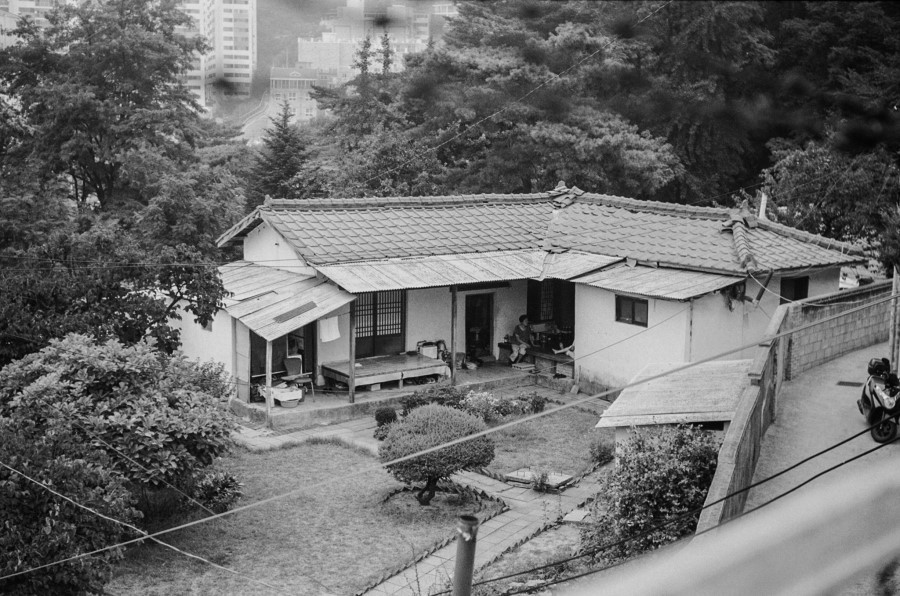 000448240020_copy (1).jpg