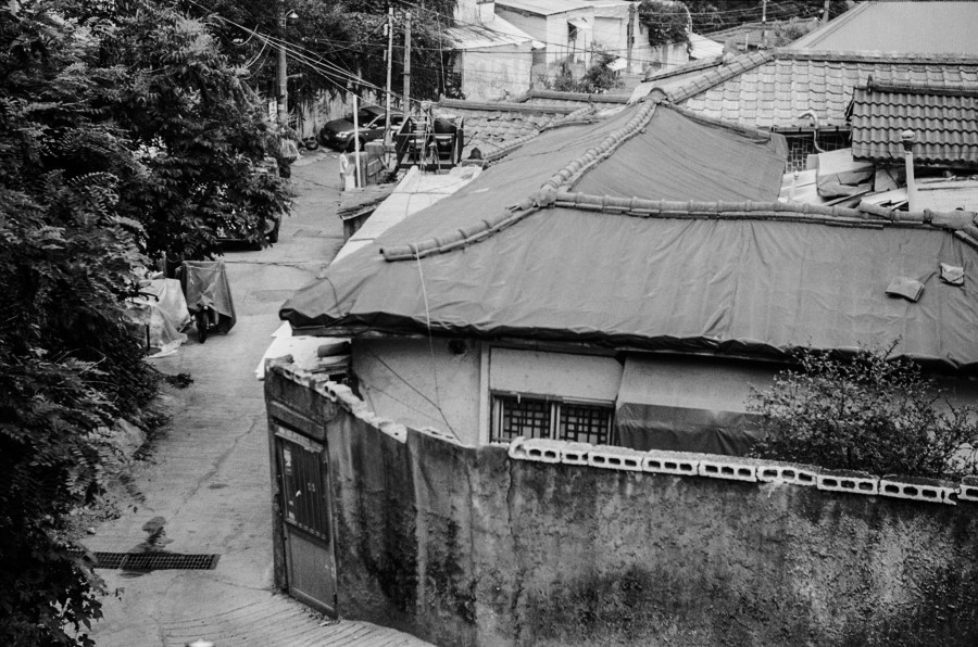 000448240015_copy (1).jpg