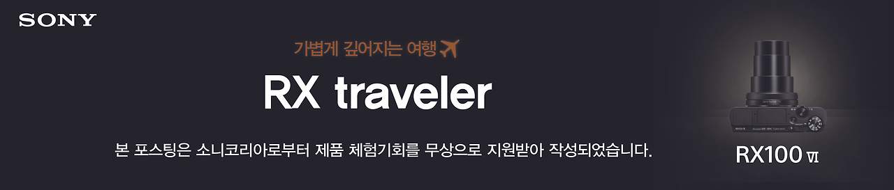 블로그 필수 삽입 문구_RX100 VI 부문.jpg