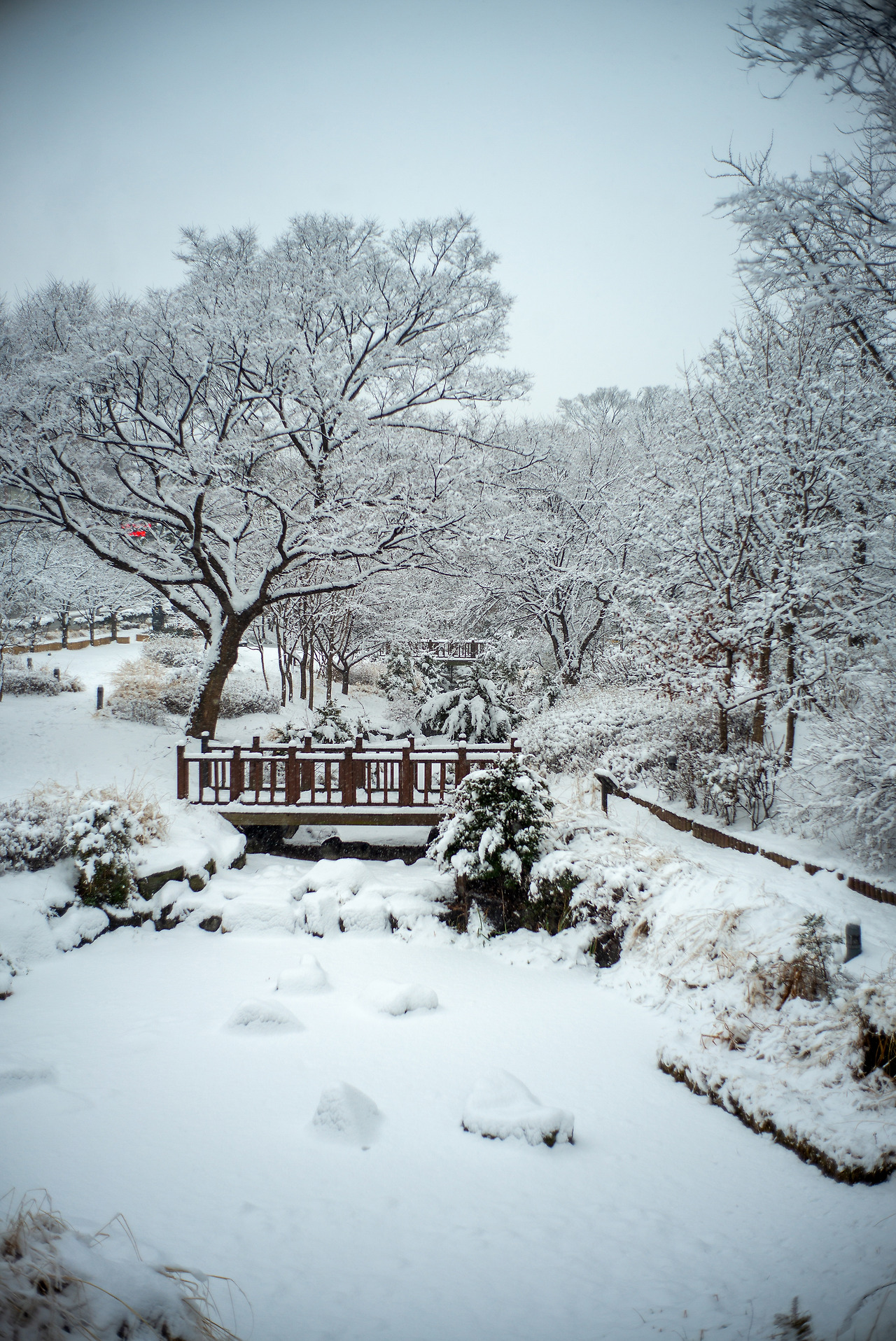 L1000084-편집 복사.jpg