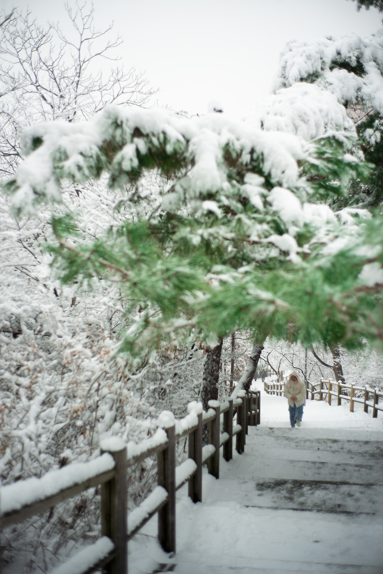 L1000099-편집 복사.jpg